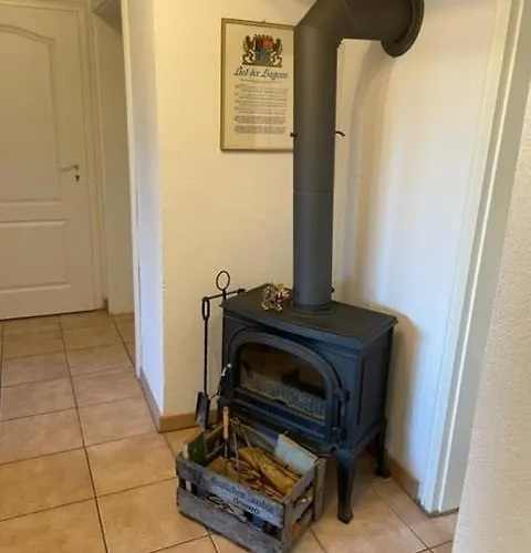 Sky Bed And Wood Stove